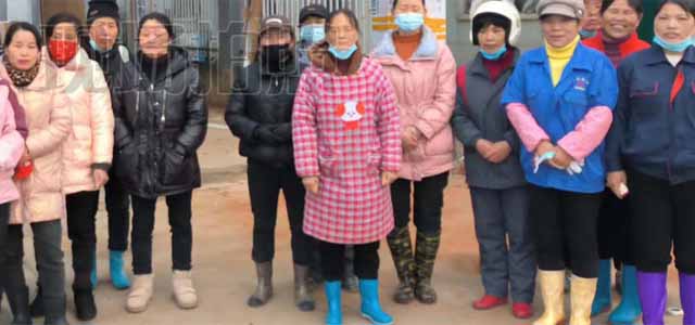 南昌绿化养护公司