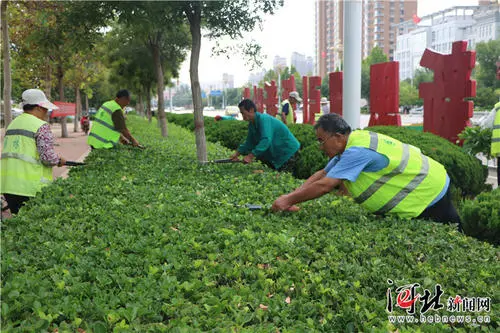 绿化养护管理方案